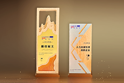 欧付宝欧付国际一举斩获“2024年度中国区最佳雇主”等多项大奖