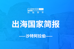 欧付宝欧付GO GLOBAL | 沙特阿拉伯国家简报